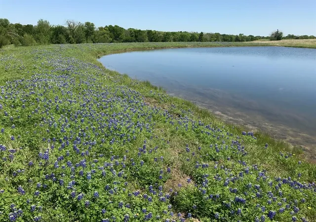 Photo 1 of Land for sale at 5796 Hurtig Rd, Bleiblerville, TX 78931 | MLS# 30769809 | Listing updated on 2026-01-12