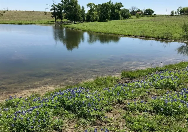 Photo 3 of Land for sale at 5796 Hurtig Rd, Bleiblerville, TX 78931 | MLS# 30769809 | Listing updated on 2026-01-12