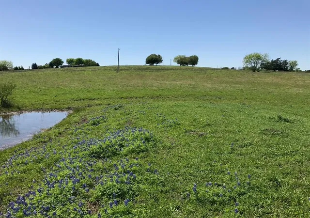 Photo 3 of Land for sale at 5796 Hurtig Rd, Bleiblerville, TX 78931 | MLS# 30769809 | Listing updated on 2026-01-12