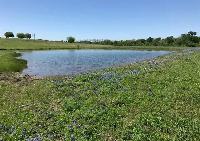 Photo 4 of Land for sale at 5796 Hurtig Rd, Bleiblerville, TX 78931 | MLS# 30769809 | Listing updated on 2026-01-12