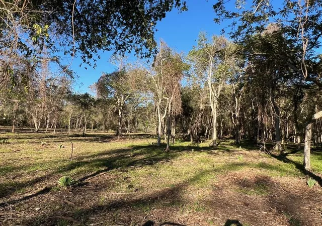Photo 3 of Land for sale at 519 County Rd 849, Brazoria, TX 77422 | MLS# 7069385 | Listing updated on 2025-11-07