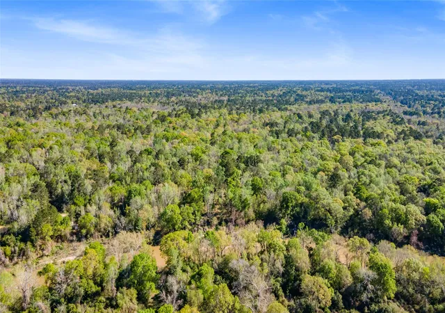 Photo 3 of Land for sale at 00 & 000 Redbud Dr, Conroe, TX 77302 | MLS# 28036118 | Listing updated on 2026-05-21