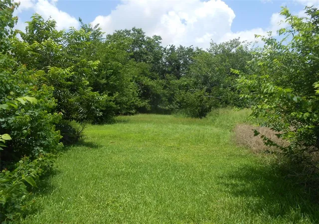 Photo 4 of Land for sale at 1118 Elberta St, Houston, TX 77051 | MLS# 41622835 | Listing updated on 2025-12-25