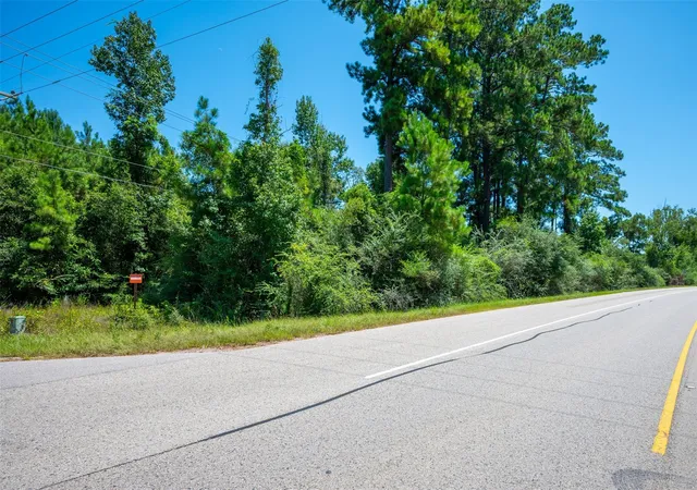 1st image of Tbd Farm To Market 92 S, Fred, TX 77616 | MLS# 42439033