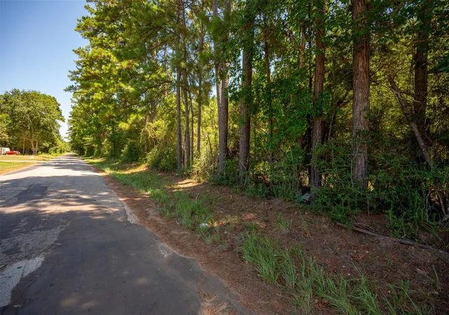 2nd image of Tbd Farm To Market 92 S, Fred, TX 77616 | MLS# 42439033