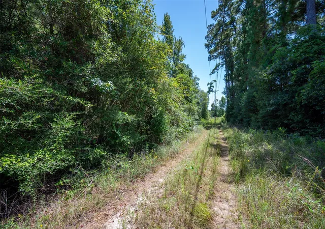 4th image of Tbd Farm To Market 92 S, Fred, TX 77616 | MLS# 42439033