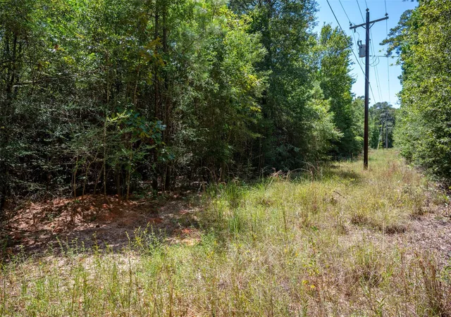 5th image of Tbd Farm To Market 92 S, Fred, TX 77616 | MLS# 42439033