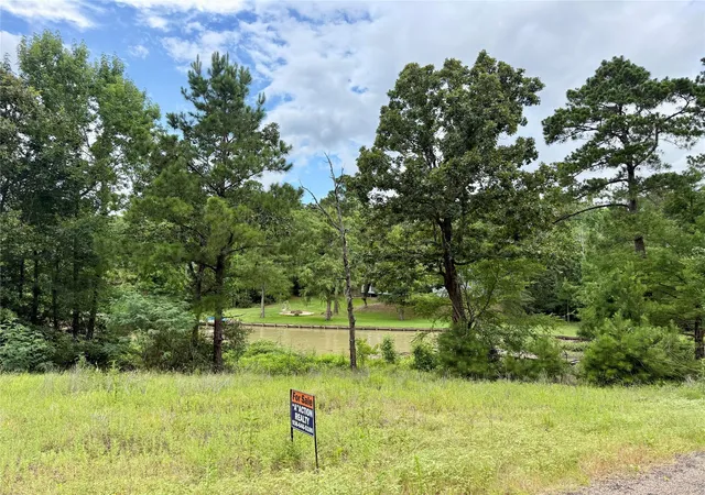 Photo 3 of Land for sale at 144 Lori Ln, Trinity, TX 75862 | MLS# 59931450 | Listing updated on 2026-06-21
