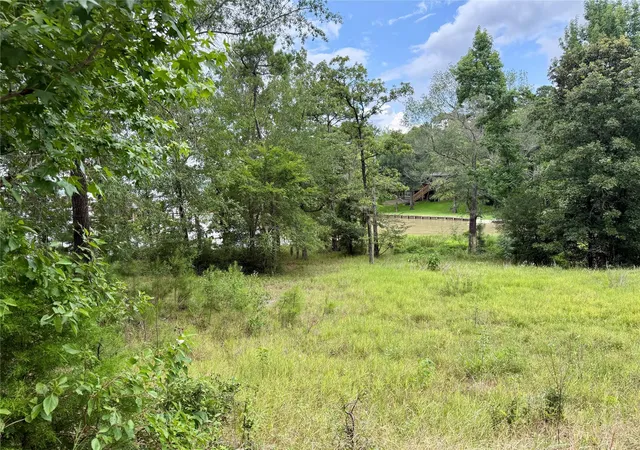 Photo 4 of Land for sale at 144 Lori Ln, Trinity, TX 75862 | MLS# 59931450 | Listing updated on 2026-06-21