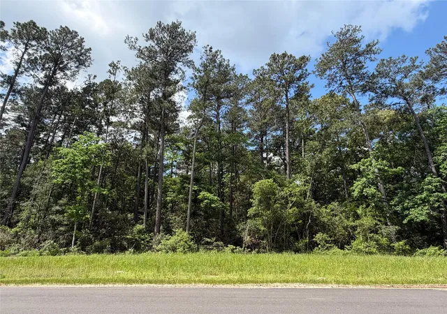2nd image of 15744 Ridge Oak Rd, Willis, TX 77378 | MLS# 18209602
