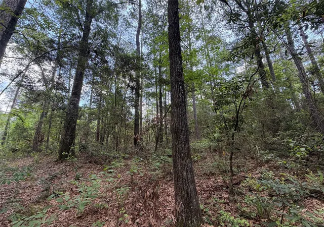 Photo 3 of Land for sale at 15744 Ridge Oak Rd, Willis, TX 77378 | MLS# 18209602 | Listing updated on 2026-06-05