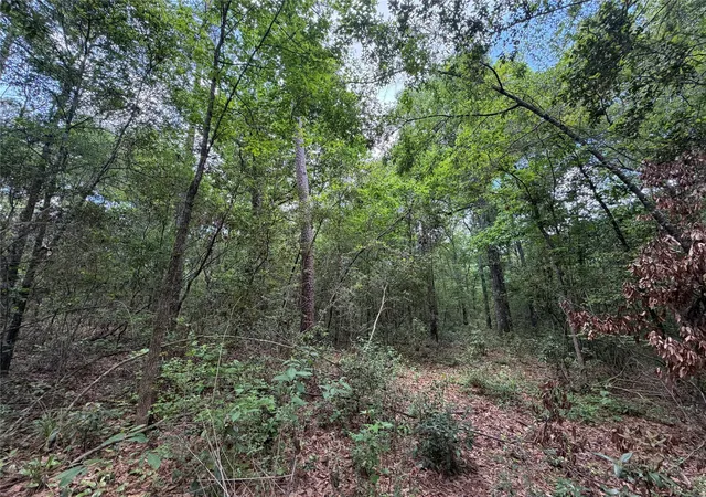 Photo 3 of Land for sale at 15744 Ridge Oak Rd, Willis, TX 77378 | MLS# 18209602 | Listing updated on 2026-06-05