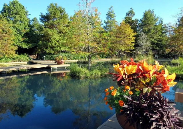 6th image of 1325 Little Cypress Loop, Orange, TX 77632 | MLS# 73805936