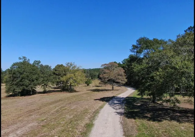 Photo 4 of Land for sale at 10890 Fm 830 Rd, Willis, TX 77318 | MLS# 24558039 | Listing updated on 2026-06-06