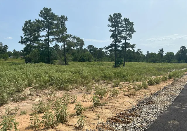 Photo 3 of Land for sale at 0 Boone Rd, Waller, TX 77484 | MLS# 23541707 | Listing updated on 2026-08-13