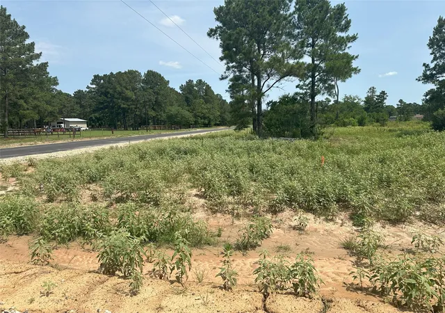 Photo 4 of Land for sale at 0 Boone Rd, Waller, TX 77484 | MLS# 23541707 | Listing updated on 2026-08-13