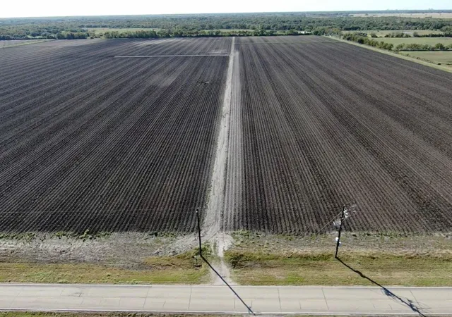 Homes for sale in Damon, TX | 1010 County Road 23, Damon, TX 77430 | MLS# 90998211