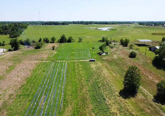 Photo 1 of Land for sale at 34235 Brumlow Rd, Waller, TX 77484 | MLS# 33109368 | Listing updated on 2026-09-17