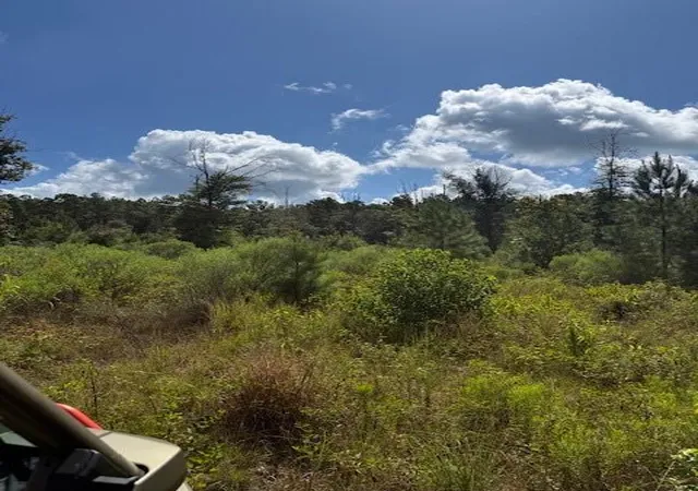 Photo 1 of Land for sale at Cr1 County Rd 1027, Newton, TX 75966 | MLS# 50294076 | Listing updated on 2026-08-25