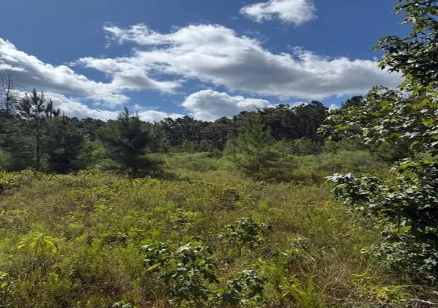 Photo 2 of Land for sale at Cr1 County Rd 1027, Newton, TX 75966 | MLS# 50294076 | Listing updated on 2026-08-25