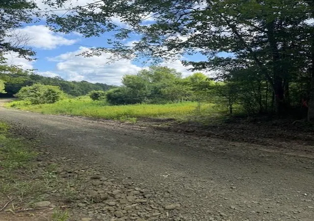 Photo 3 of Land for sale at Cr1 County Rd 1027, Newton, TX 75966 | MLS# 50294076 | Listing updated on 2026-08-25