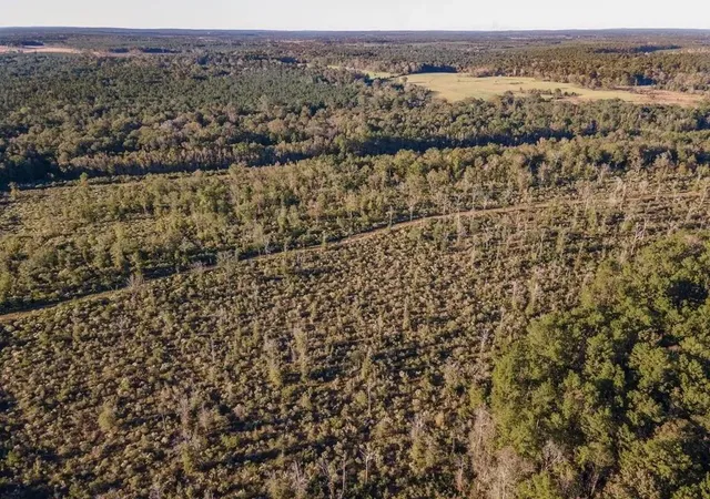Photo 4 of Land for sale at Cr1 County Rd 1027, Newton, TX 75966 | MLS# 50294076 | Listing updated on 2026-08-25