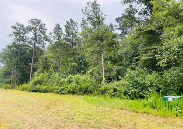 Photo 2 of Land for sale at 15591 Wood Grv Way, Willis, TX 77378 | MLS# 85278329 | Listing updated on 2026-08-28
