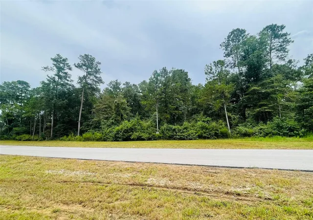 Photo 3 of Land for sale at 15591 Wood Grv Way, Willis, TX 77378 | MLS# 85278329 | Listing updated on 2026-08-28