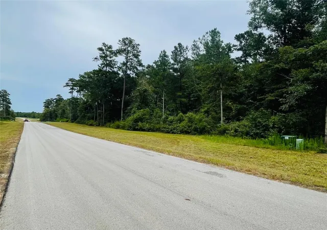 Photo 4 of Land for sale at 15591 Wood Grv Way, Willis, TX 77378 | MLS# 85278329 | Listing updated on 2026-08-28