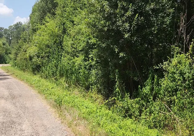 1st image of Lot 61 W Essex Rd, Conroe, TX 77302 | MLS# 74363467