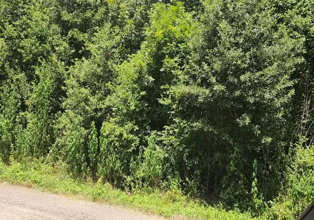 Photo 3 of Land for sale at Lot W 61 Essex Rd, Conroe, TX 77302 | MLS# 74363467 | Listing updated on 2026-08-19