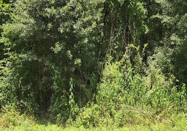 Photo 4 of Land for sale at Lot W 61 Essex Rd, Conroe, TX 77302 | MLS# 74363467 | Listing updated on 2026-08-19