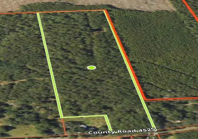 Homes for sale in Warren, TX | 713 County Road 4525, Warren, TX 77664 | MLS# 88252352
