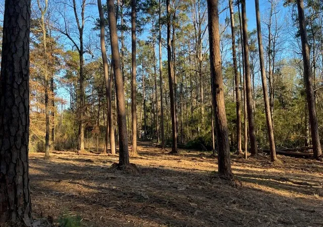 Photo 2 of Land for sale at 0 Monroe Dr, Livingston, TX 77351 | MLS# 69918839 | Listing updated on 2026-08-27