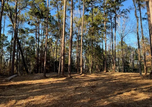 Photo 3 of Land for sale at 0 Monroe Dr, Livingston, TX 77351 | MLS# 69918839 | Listing updated on 2026-08-27
