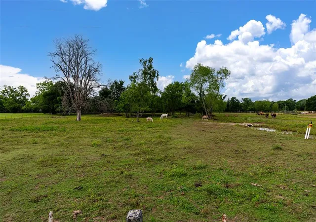 Photo 3 of Sale Pending at 33703 Reynolds Rd, Fulshear, TX 77441 | MLS# 34400885 | Listing updated on 2026-07-31