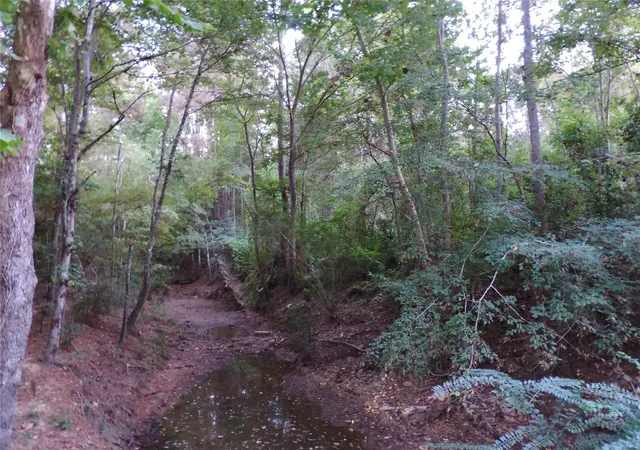 Photo 3 of Land for sale at Tbd Martin Luther King Dr, Cleveland, TX 77327 | MLS# 77380371 | Listing updated on 2026-05-08