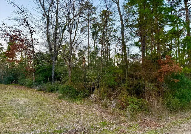 Photo 1 of Land for sale at Tbd Tallow St, Onalaska, TX 77360 | MLS# 63772932 | Listing updated on 2026-02-01