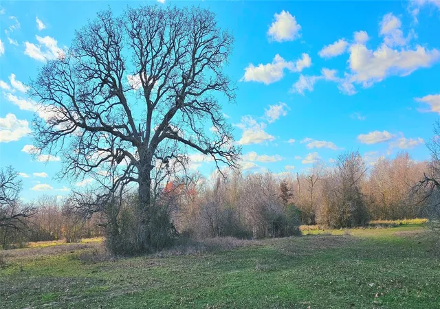 1st image of Tbd Davis Rd, Huntsville, TX 77320 | MLS# 92633436