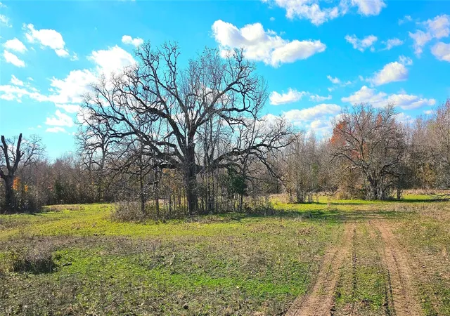 2nd image of Tbd Davis Rd, Huntsville, TX 77320 | MLS# 92633436