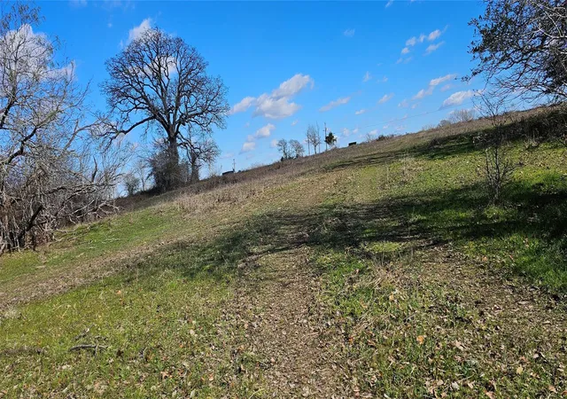 3rd image of Tbd Davis Rd, Huntsville, TX 77320 | MLS# 92633436