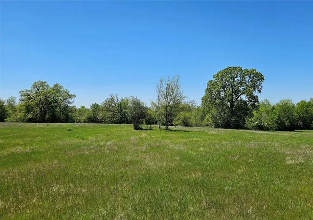 9th image of Tbd Davis Rd, Huntsville, TX 77320 | MLS# 92633436
