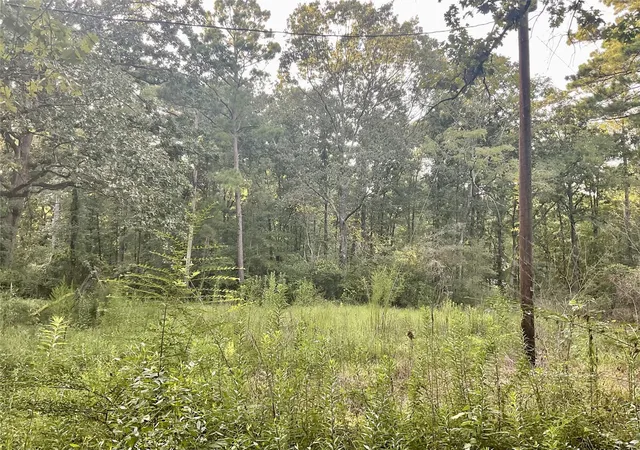 Photo 1 of Sale Pending at 3508 Gilliland Crk Rd, Huntington, TX 75949 | MLS# 54462422 | Listing updated on 2026-09-16