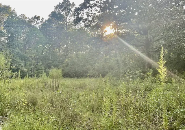 Photo 3 of Sale Pending at 3508 Gilliland Crk Rd, Huntington, TX 75949 | MLS# 54462422 | Listing updated on 2026-09-16