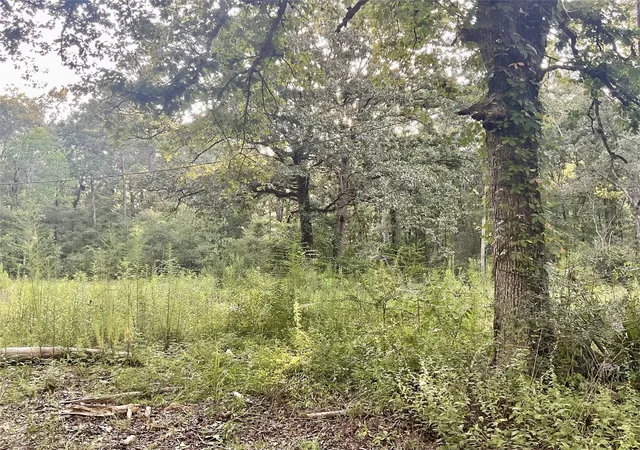 Photo 3 of Sale Pending at 3508 Gilliland Crk Rd, Huntington, TX 75949 | MLS# 54462422 | Listing updated on 2026-09-16