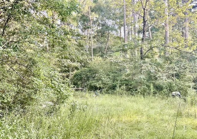 Photo 4 of Sale Pending at 3508 Gilliland Crk Rd, Huntington, TX 75949 | MLS# 54462422 | Listing updated on 2026-09-16