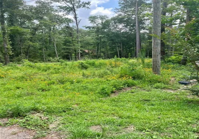 Photo 3 of Land for sale at 10820 Royal York Dr, Conroe, TX 77303 | MLS# 20530152 | Listing updated on 2026-07-20