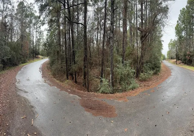 Land for sale at Tbd S Sunset Dr, Onalaska, TX 77360 | MLS# 11337995
