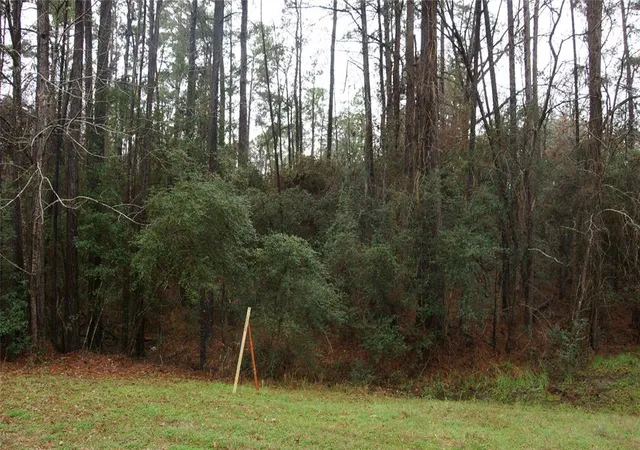Photo 2 of Land for sale at Tbd S Sunset Dr, Onalaska, TX 77360 | MLS# 11337995 | Listing updated on 2026-01-14