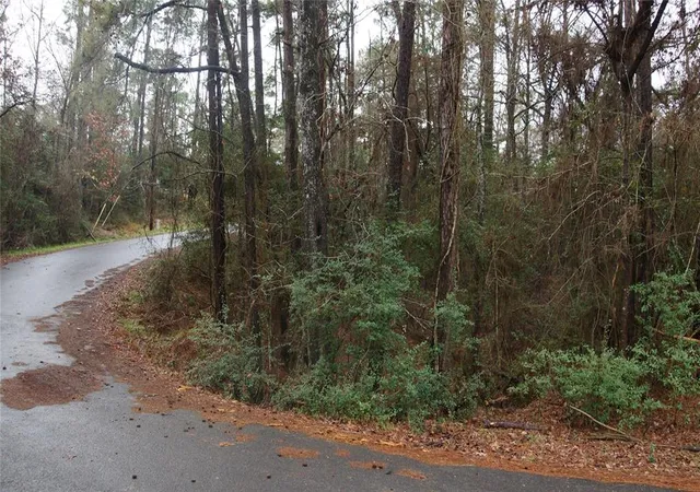 Photo 3 of Land for sale at Tbd S Sunset Dr, Onalaska, TX 77360 | MLS# 11337995 | Listing updated on 2026-01-14